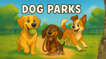 Three dogs at a dog park in Irvine, California